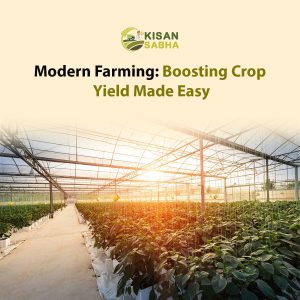 Read more about the article Modern Farming: Boosting Crop Yield Made Easy