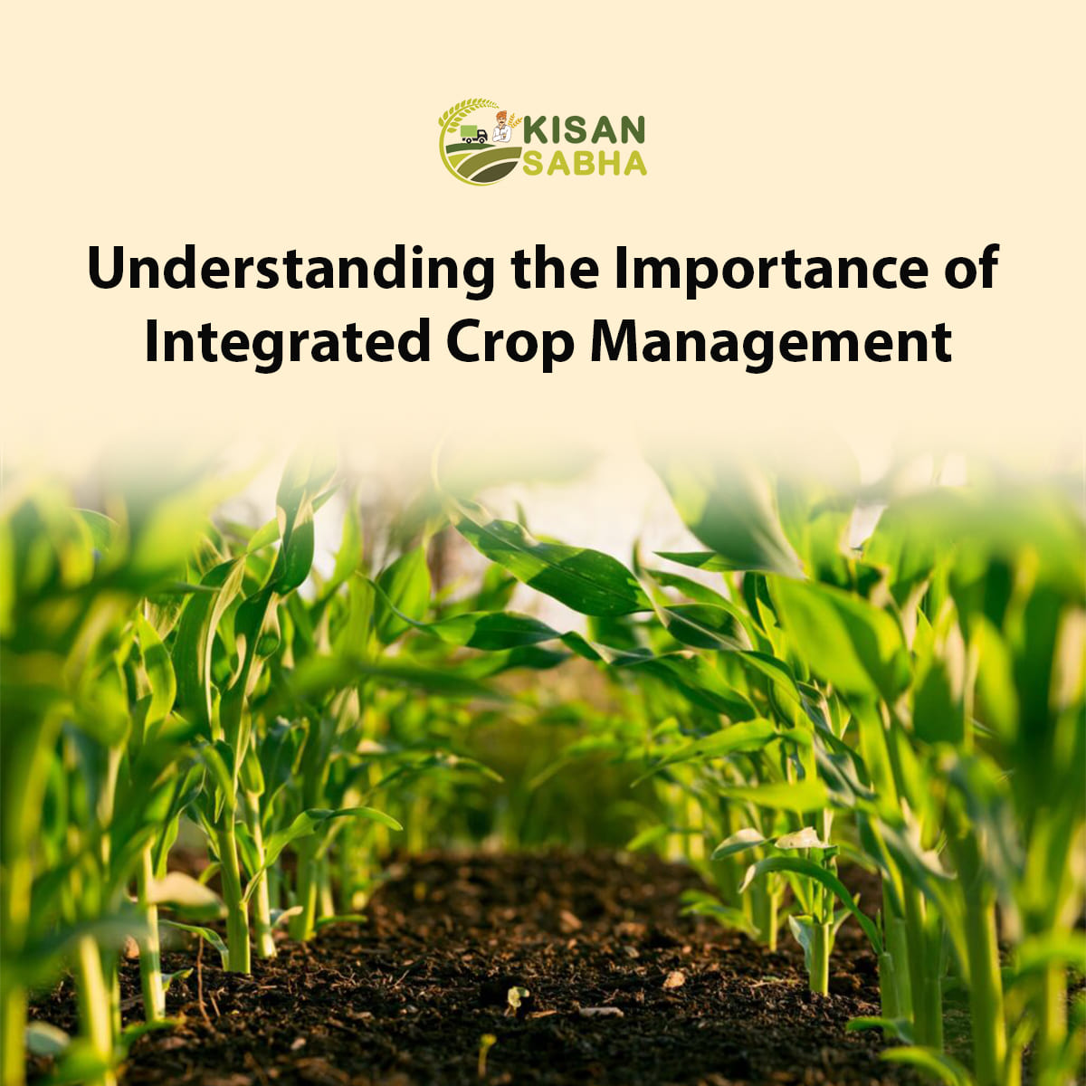 Importance of Integrated Crop Management