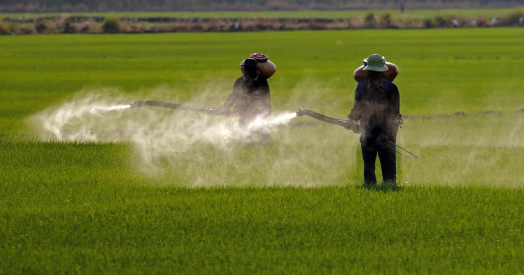 Integrated Crop Management