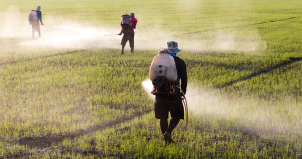 Crop Management