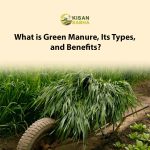 What is Green Manure, Its Types, and Benefits?