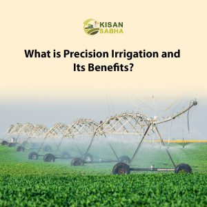 Read more about the article What is Precision Irrigation and Its Benefits?