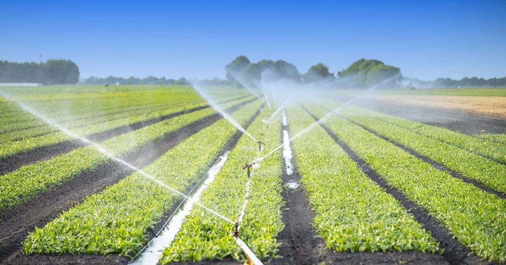 Precision irrigation systems deliver water