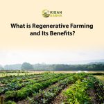 What is Regenerative Farming and Its Benefits?