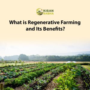 Read more about the article What is Regenerative Farming and Its Benefits?