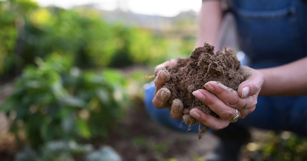 Improved Soil Health