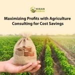 Maximizing Profits with Agriculture Consulting for Cost Savings