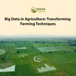 Big Data in Agriculture: Transforming Farming Techniques