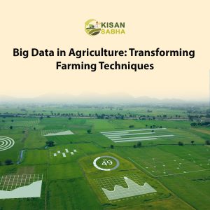 Read more about the article Big Data in Agriculture: Transforming Farming Techniques