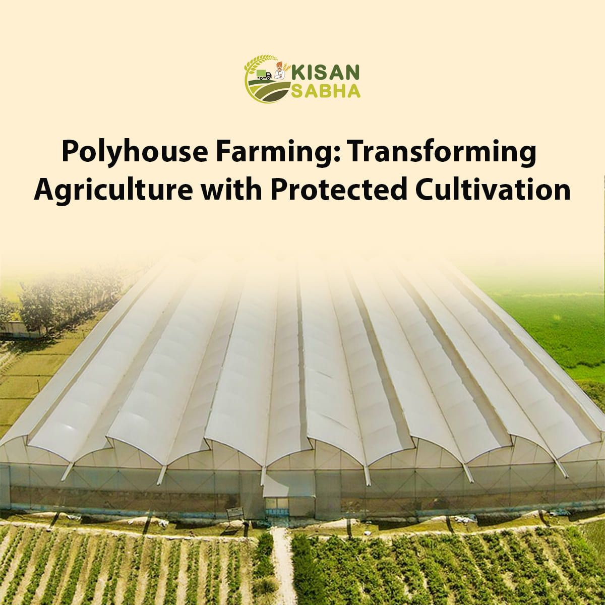 Read more about the article Polyhouse Farming: Transforming Agriculture with Protected Cultivation