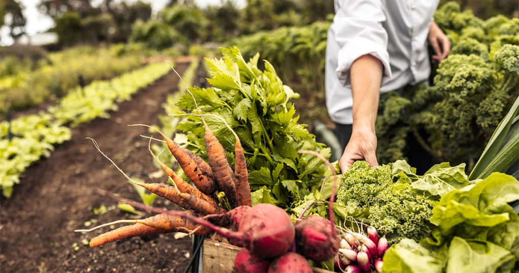 Regenrative Agriculture 