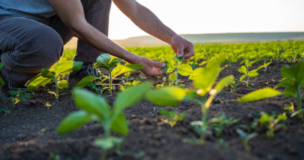 Biological Inputs