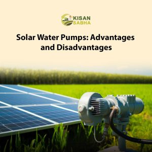 Read more about the article Solar Water Pumps: Advantages & Disadvantages