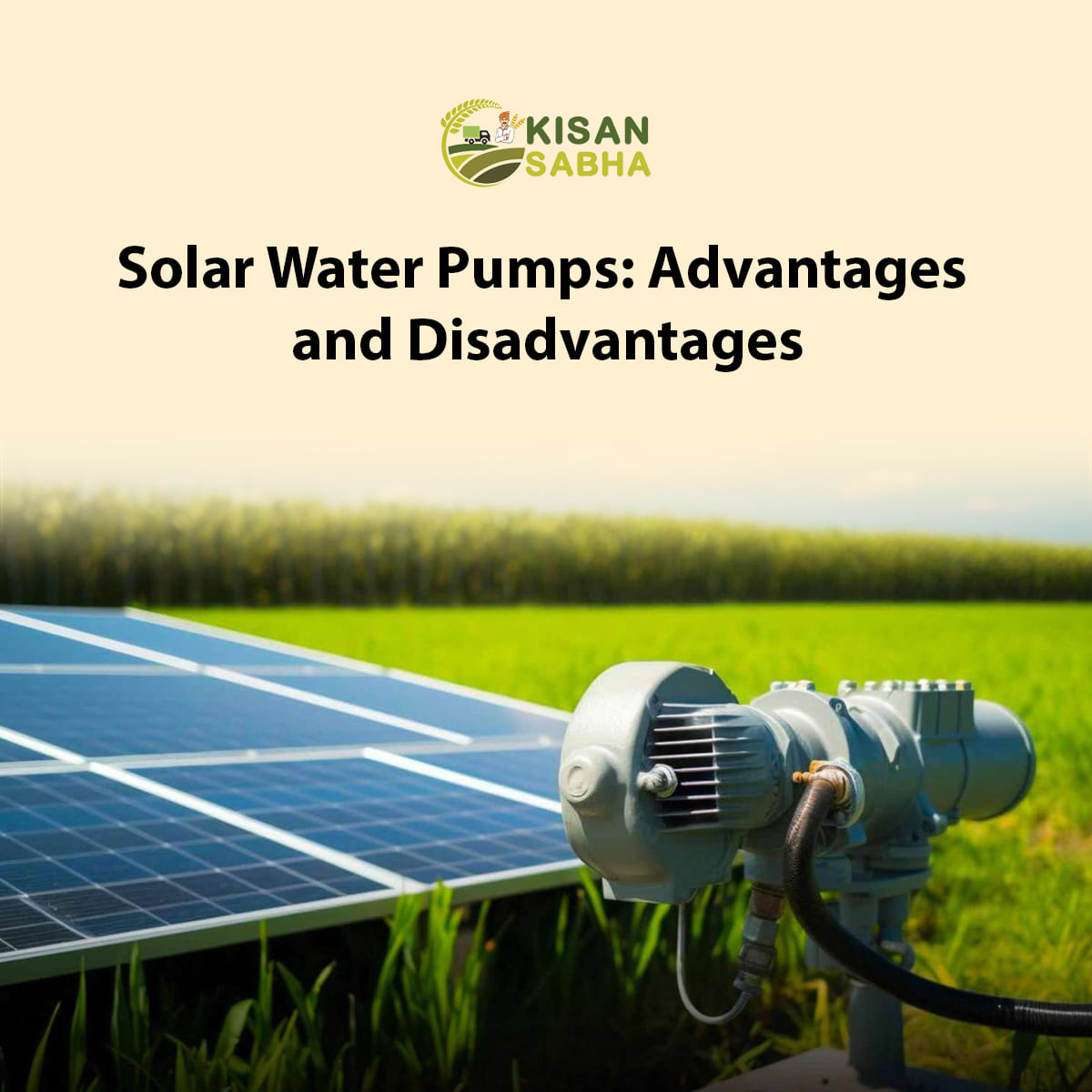 Solar Water Pumps Advantages and Disadvantages