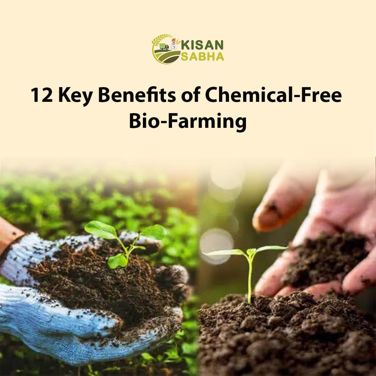 Read more about the article 12 Key Benefits of Chemical-Free Bio-Farming