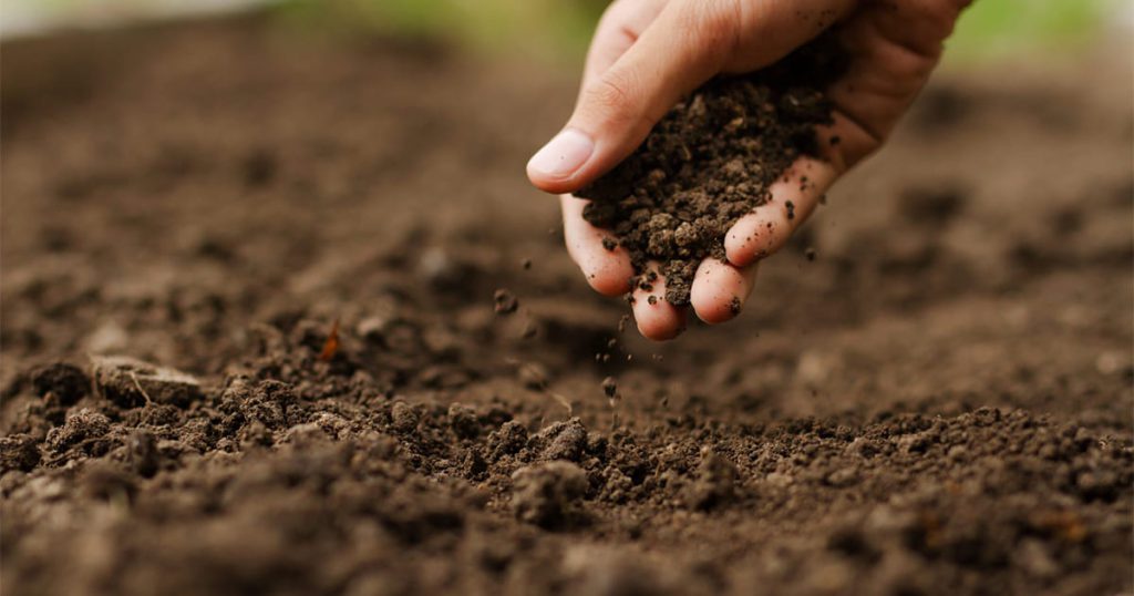  Improve Soil Quality 