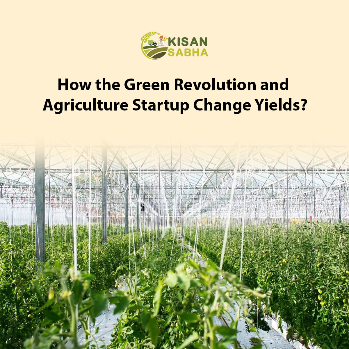 Read more about the article How the Green Revolution and Agriculture Startup Change Yields?