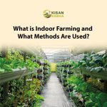 What is Indoor Farming and What Methods Are Used?