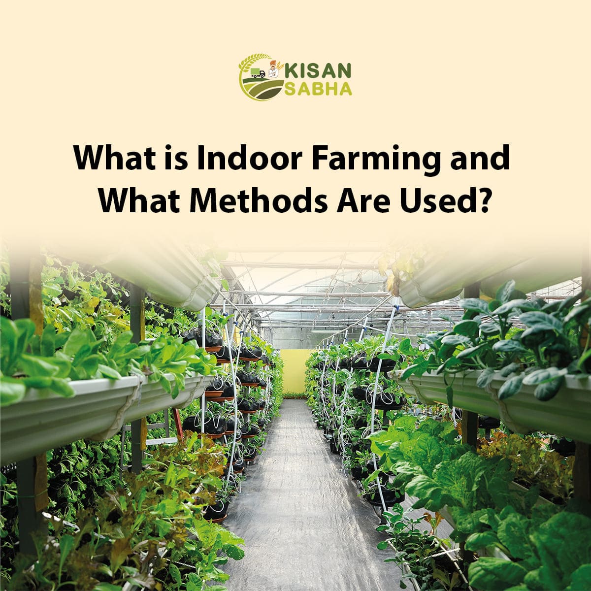 Indoor Farming and What Methods Are Used