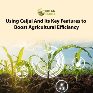 Read more about the article Using Celjal and Its Key Features to Boost Agricultural Efficiency