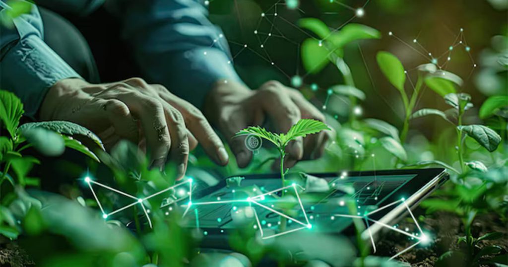 Robotics Harvesting with the Collaboration of AI