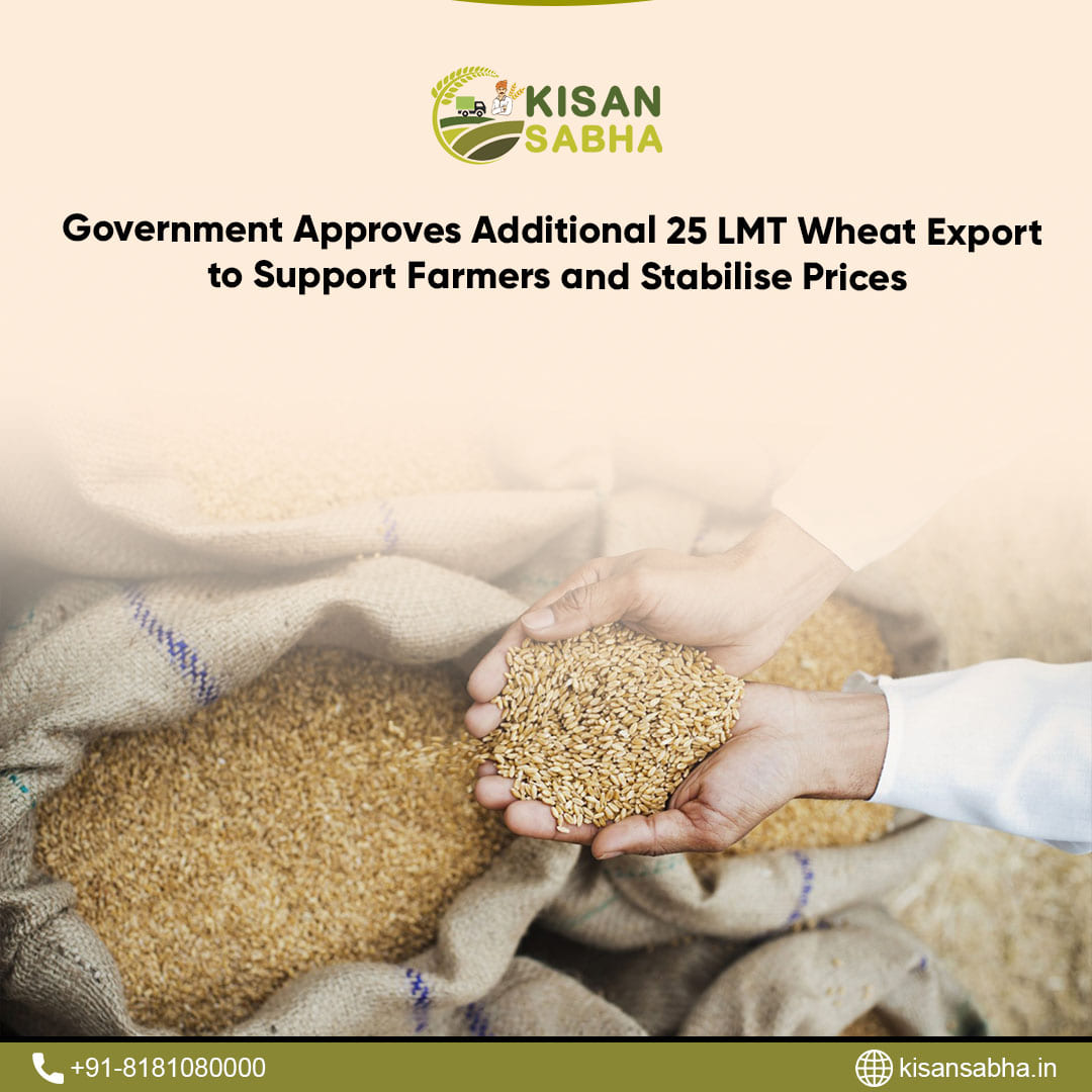 Government Approves Additional 25 LMT Wheat Export to Support Farmers and Stabilise Prices