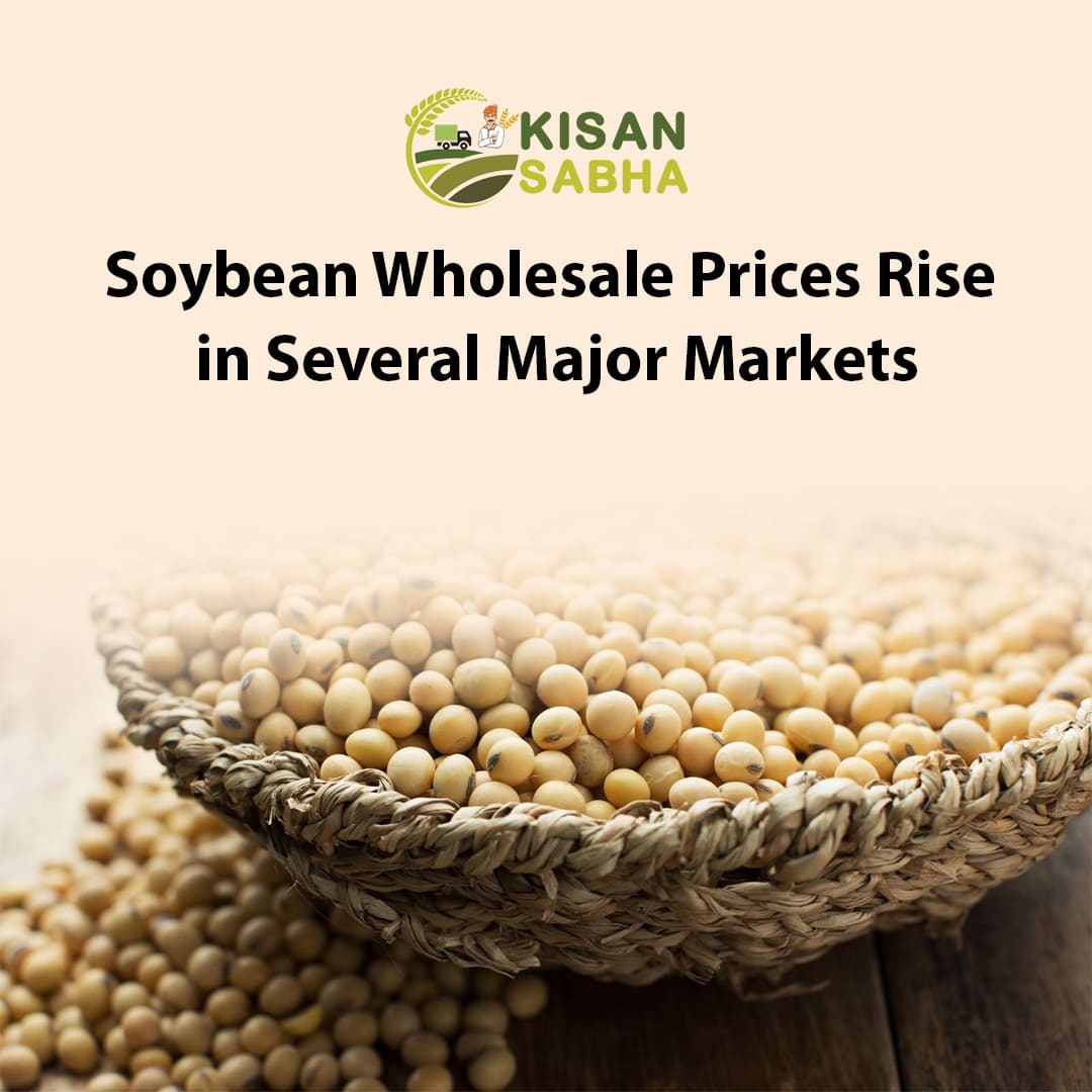 Soybean Wholesale Prices Rise