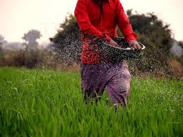  Soil Organic Carbon