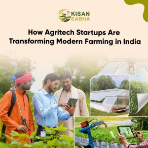 Read more about the article How Agritech Startups Are Transforming Modern Farming in India
