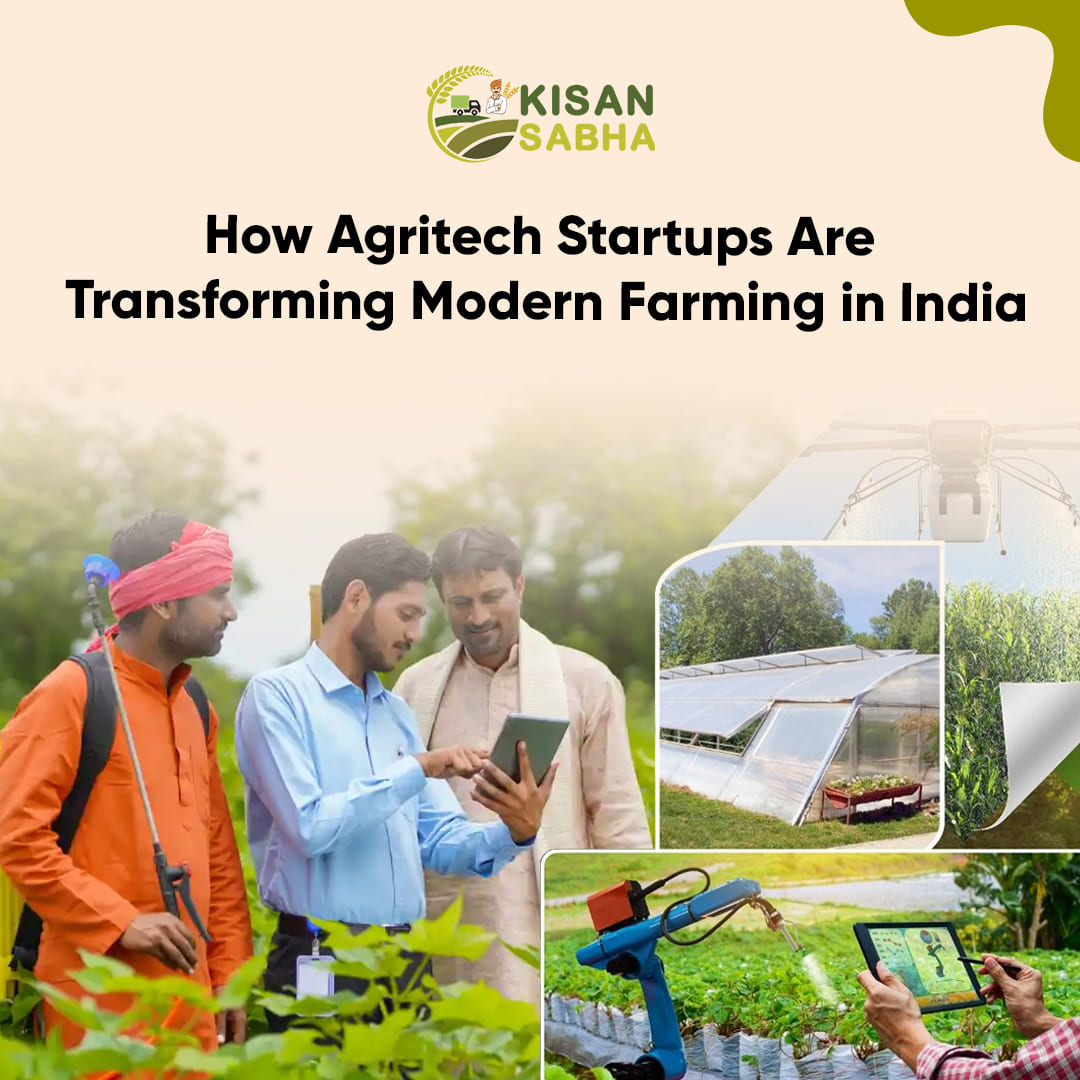 Agritech Startups Are Transforming Modern Farming in India