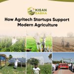 How Agritech Startups Support Modern Agriculture