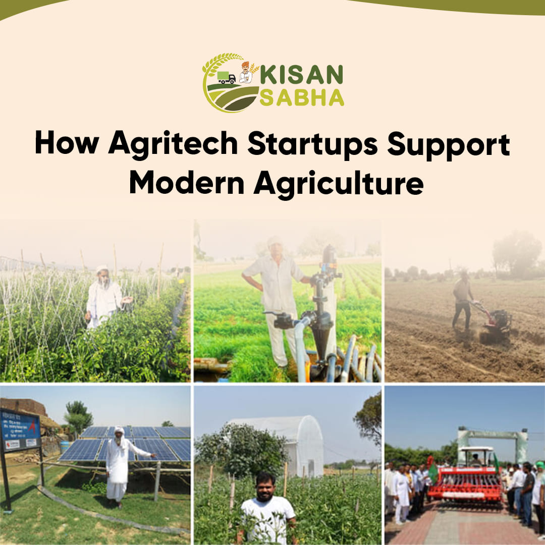 How Agritech Startups Support Modern Agriculture