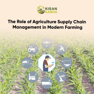 Read more about the article The Role of Agriculture Supply Chain Management in Modern Farming