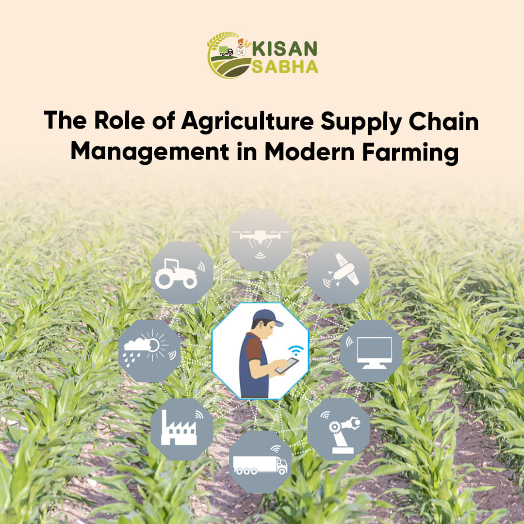 Role of Agriculture Supply Chain Management in Modern Farming