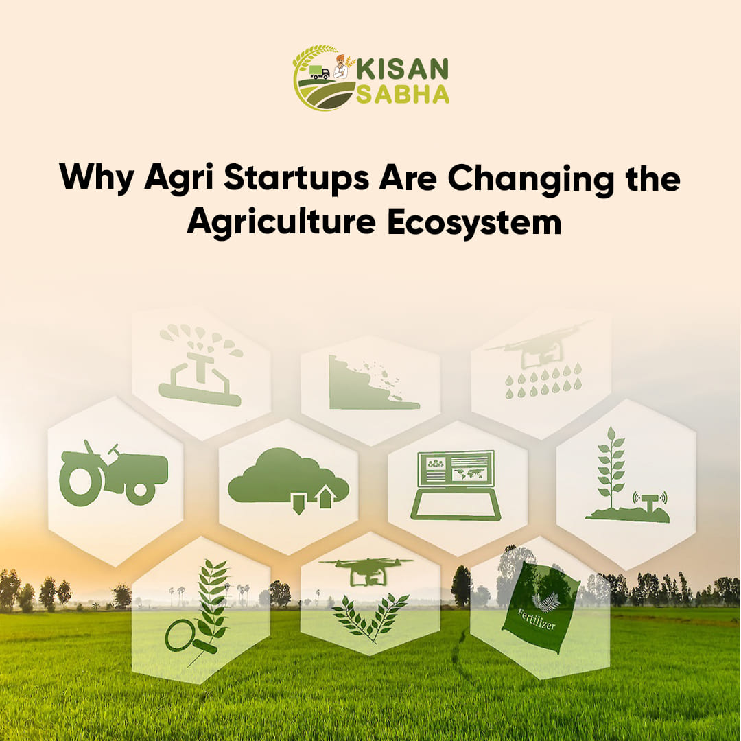 Read more about the article Why Agri Startups Are Changing the Agriculture Ecosystem