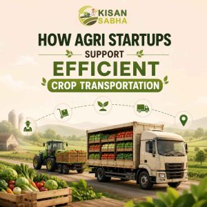 Read more about the article How Agri Startups Support Efficient Crop Transportation
