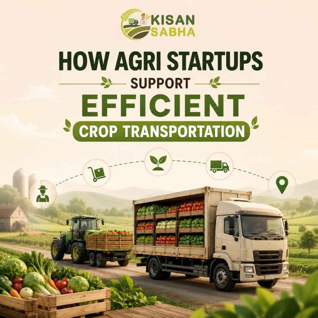 Read more about the article How Agri Startups Support Efficient Crop Transportation