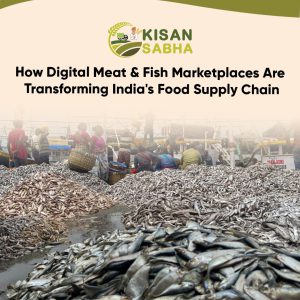 Read more about the article How Digital Meat & Fish Marketplaces Are Transforming India’s Food Supply Chain