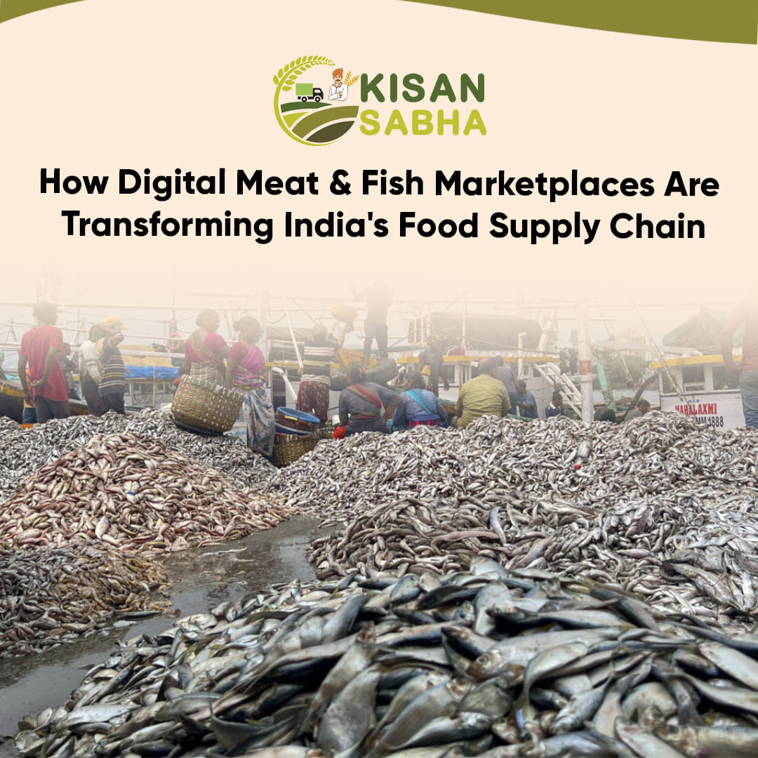How Digital Meat & Fish Marketplaces Are Transforming India's Food Supply Chain