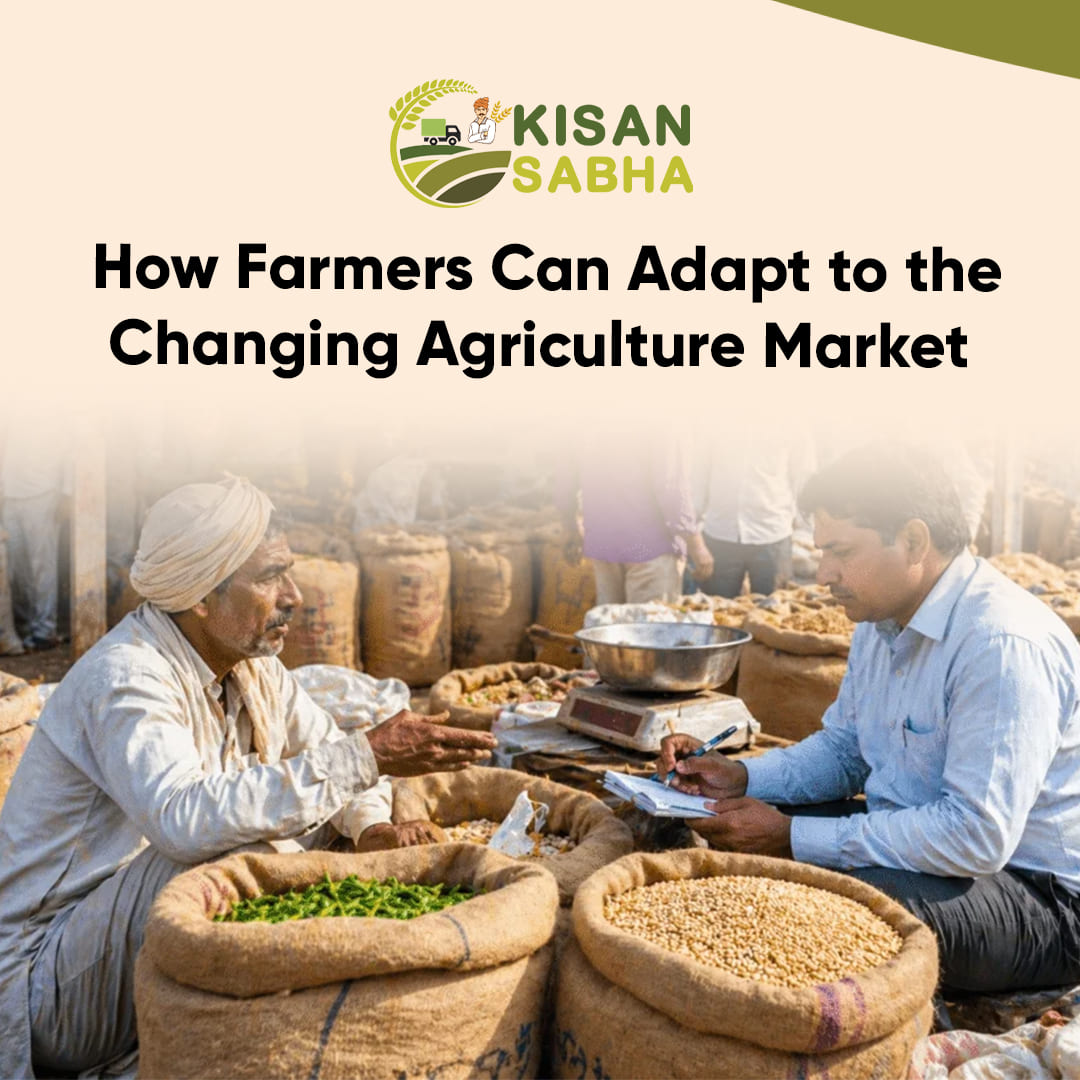 How Farmers Can Adapt to the Changing Agriculture Market