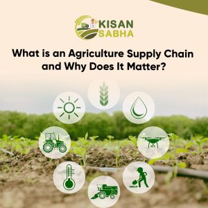 Read more about the article What is an Agriculture Supply Chain and Why Does It Matter?