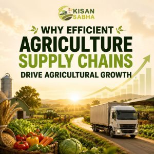 Read more about the article Why Efficient Agriculture Supply Chains Drive Agricultural Growth