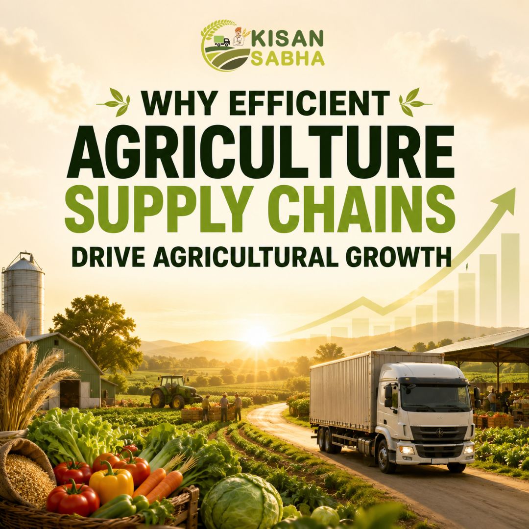 Read more about the article Why Efficient Agriculture Supply Chains Drive Agricultural Growth