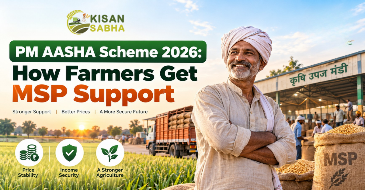 PM AASHA Scheme 2026 supporting Indian farmers through MSP, with a farmer standing near a grain market and agricultural produce.