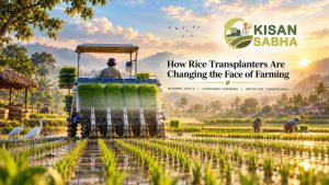 Read more about the article How Rice Transplanters Are Changing the Face of Farming